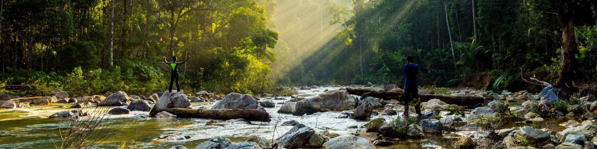 Taman Negara 